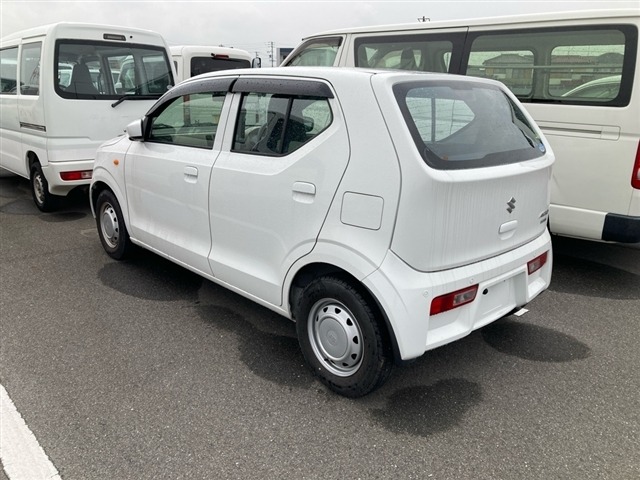 Suzuki ALTO 2021 7983229-1