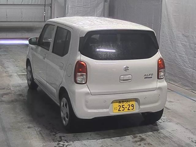 Suzuki ALTO 2025 7983289-8