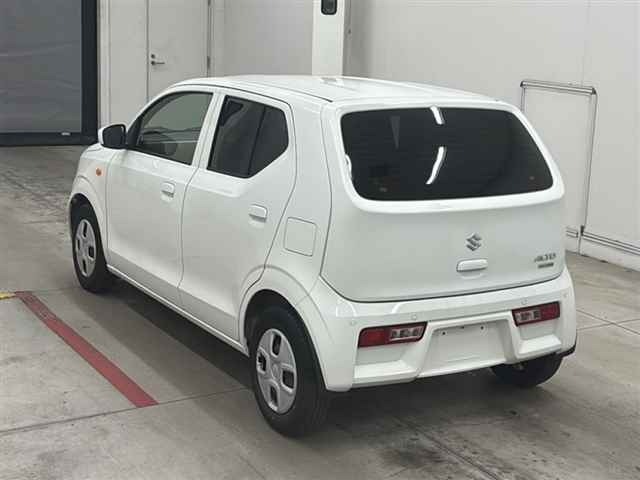 Suzuki ALTO 2021 7983379-1