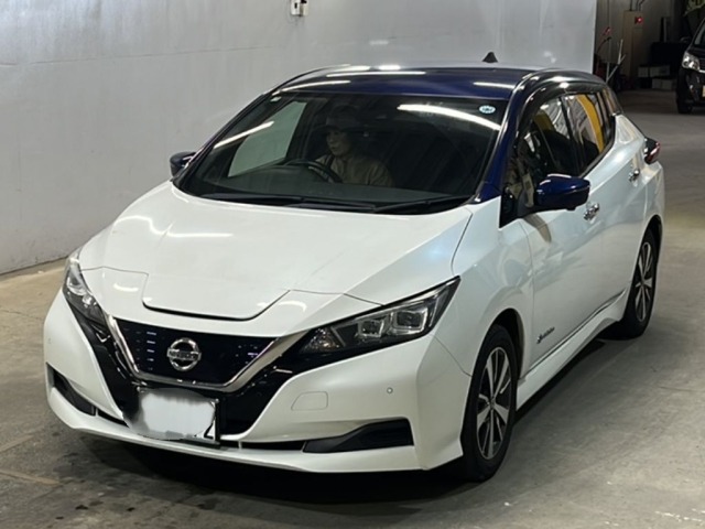 Nissan LEAF 2019 7982840-0