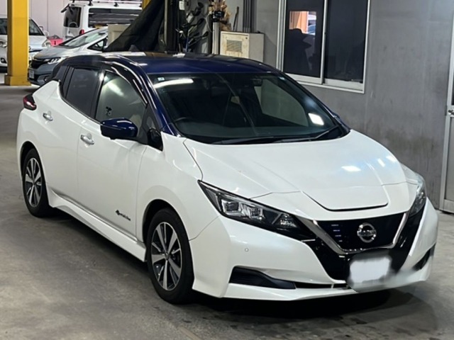 Nissan LEAF 2019 7982840-4