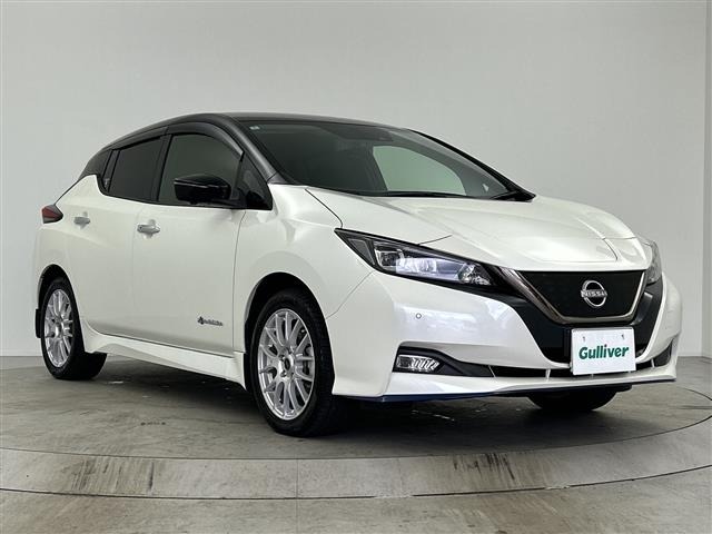 Nissan LEAF 2022 7982847-0
