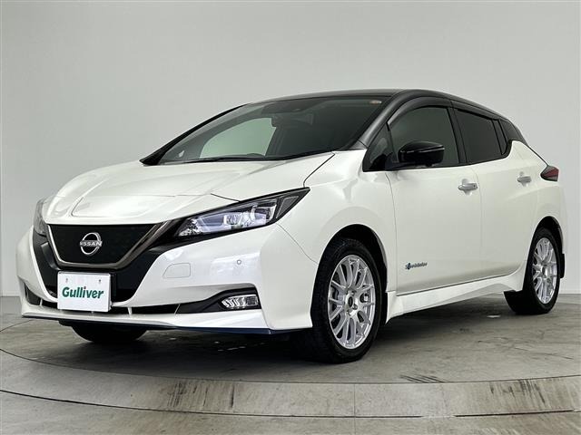 Nissan LEAF 2022 7982847-9