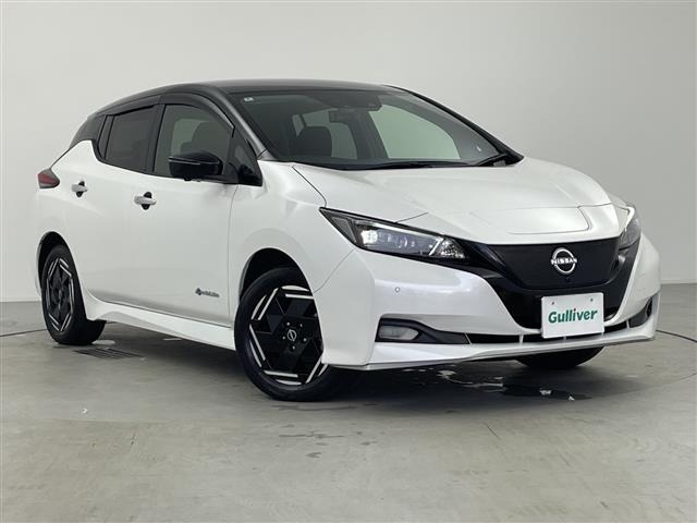 Nissan LEAF 2022 7982848-0
