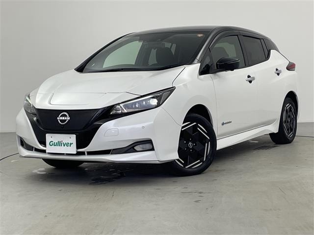 Nissan LEAF 2022 7982848-16