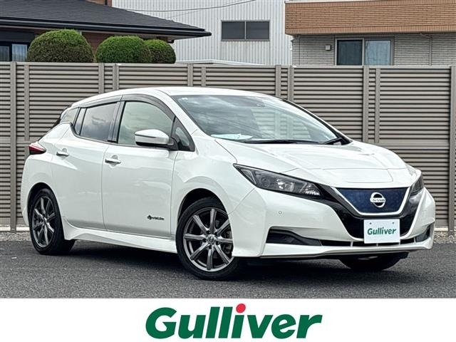 Nissan LEAF 2017 7982855-0