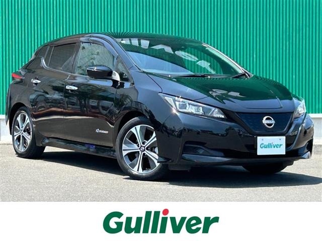 Nissan LEAF 2021 7982856-0