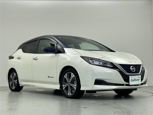 Nissan LEAF 2019 7982864-0