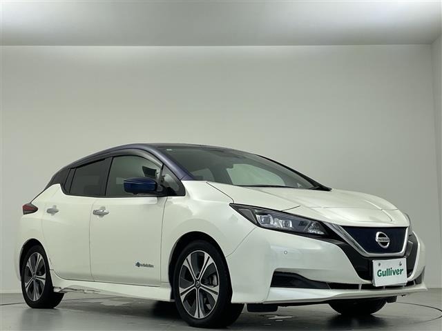 Nissan LEAF 2019 7982864-12
