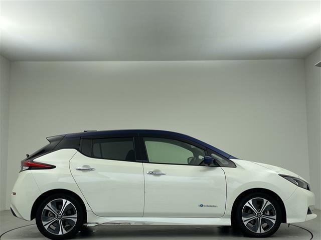 Nissan LEAF 2019 7982864-13