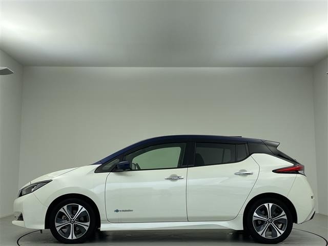 Nissan LEAF 2019 7982864-14