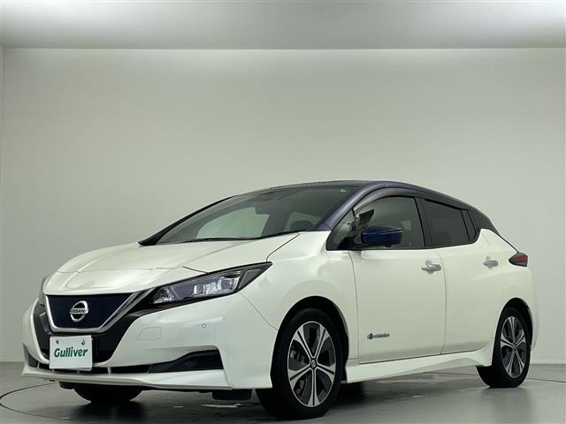 Nissan LEAF 2019 7982864-22