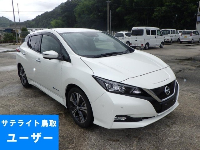 Nissan LEAF 2018 7982911-0