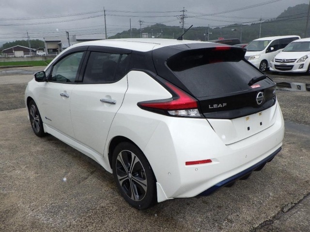 Nissan LEAF 2018 7982911-1