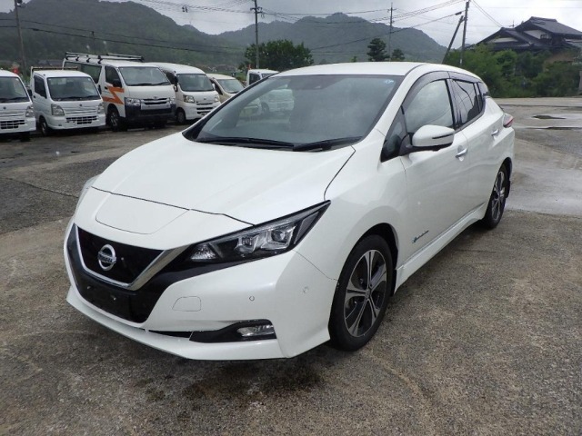 Nissan LEAF 2018 7982911-4