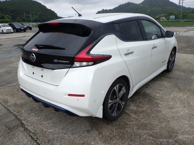 Nissan LEAF 2018 7982911-5
