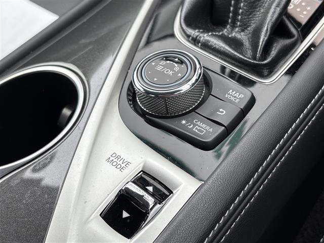 Nissan SKYLINE 2014 7981541-22