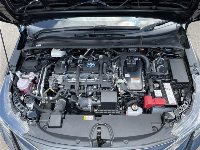 Toyota COROLLA TOURING 2022 7988815-19
