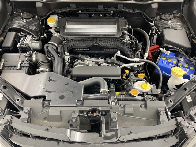 Subaru FORESTER 2021 7988336-21