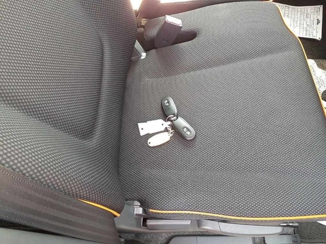 Suzuki HUSTLER 2014 7988898-10