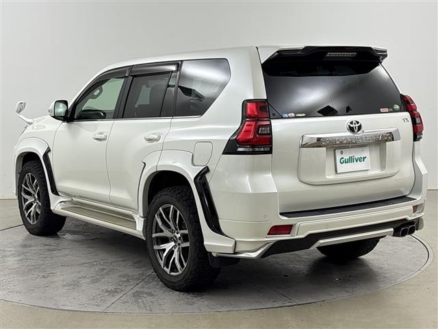 Toyota LAND CRUISER PRADO 2019 7988632-13