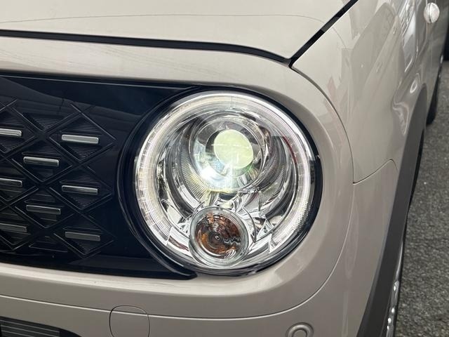 Suzuki LAPIN 2025 7984338-2