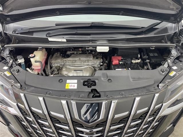 Toyota ALPHARD 2019 8015261-14