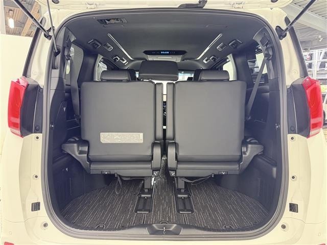 Toyota ALPHARD 2021 8015313-10
