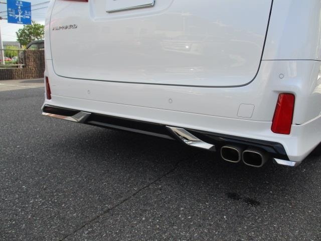 Toyota ALPHARD 2019 8015363-19
