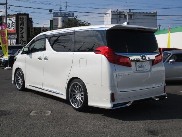 Toyota ALPHARD 2019 8015363-21
