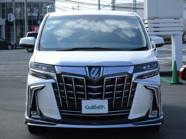 Toyota ALPHARD 2019 8015363-24
