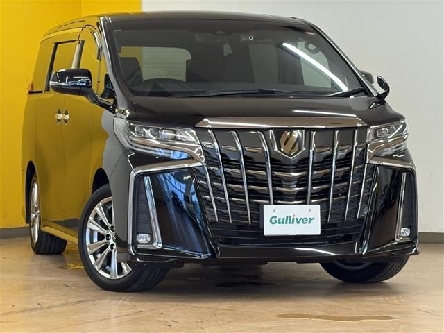 Toyota ALPHARD 2022 8015396-0