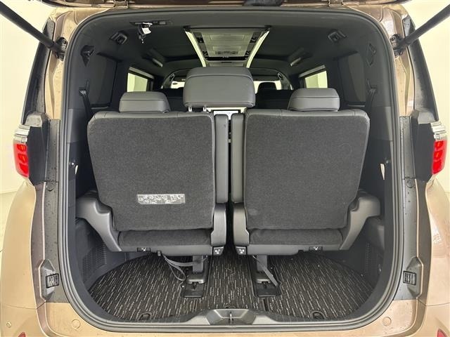 Toyota ALPHARD 2024 8015398-21