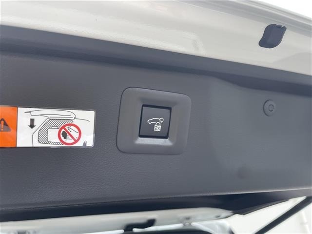 Toyota ALPHARD 2025 8015421-7