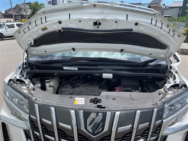 Toyota ALPHARD 2019 8015422-13