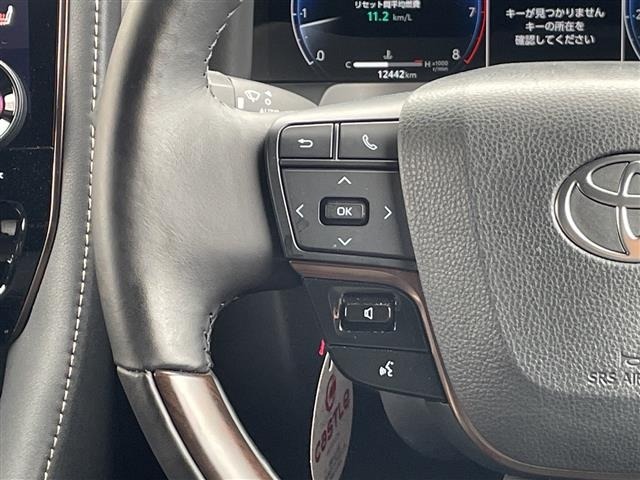 Toyota ALPHARD 2025 8015428-11