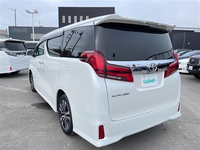 Toyota ALPHARD 2022 8015441-13