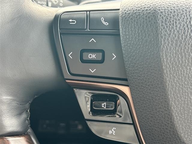 Toyota ALPHARD 2024 8015483-5