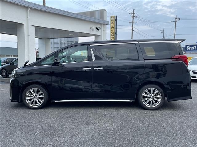 Toyota ALPHARD 2021 8015503-19