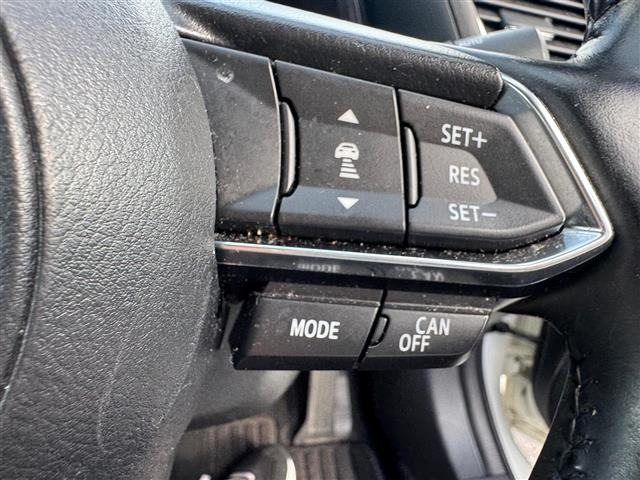 Mazda AXELA 2019 7996366-17