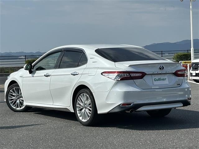 Toyota CAMRY 2018 8013165-13