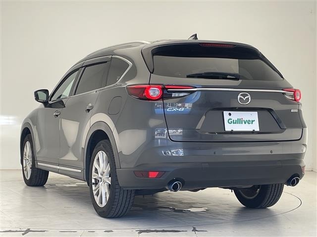 Mazda CX-8 2018 8013613-14