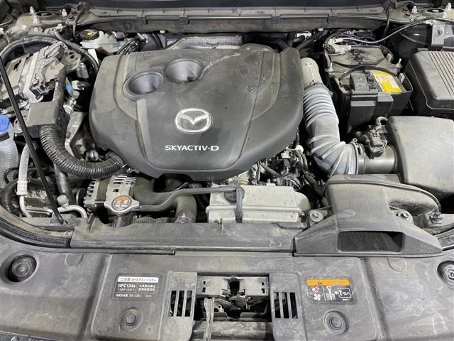Mazda CX-8 2022 8013619-14