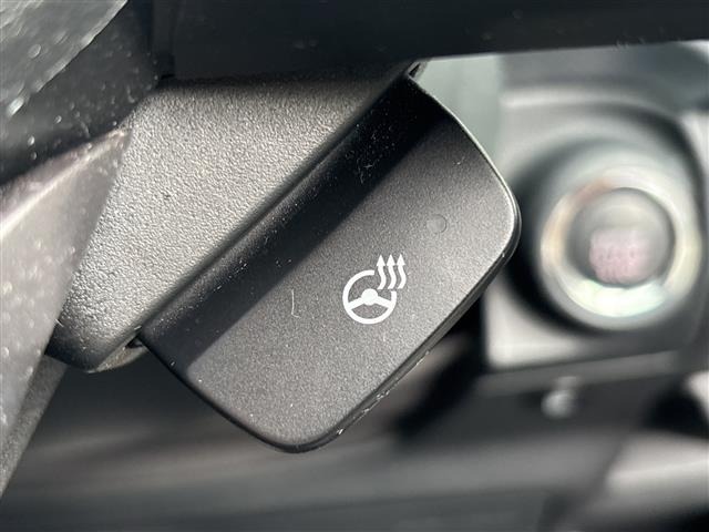 Subaru FORESTER 2020 8014230-7