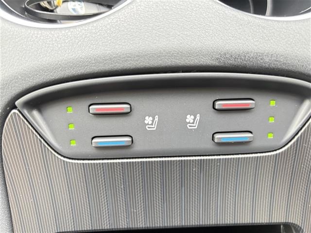 Toyota HARRIER 2020 8014278-19