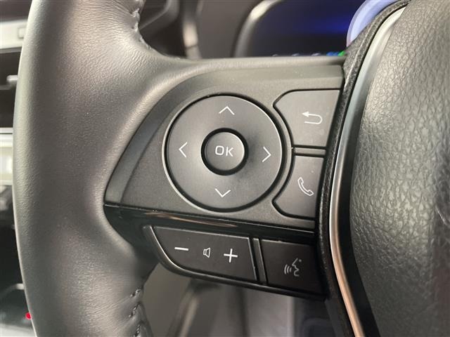 Toyota HARRIER 2023 8014348-21
