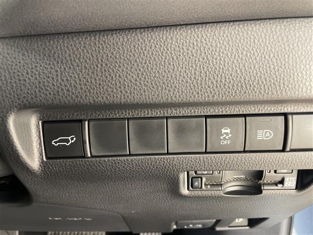 Toyota HARRIER 2023 8014382-19