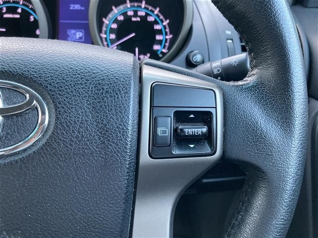 Toyota LAND CRUISER PRADO 2013 8015639-22