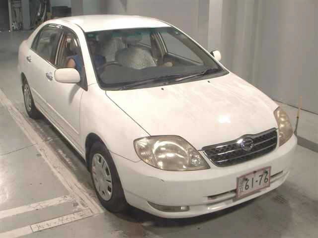Toyota COROLLA 2001 8031291-0