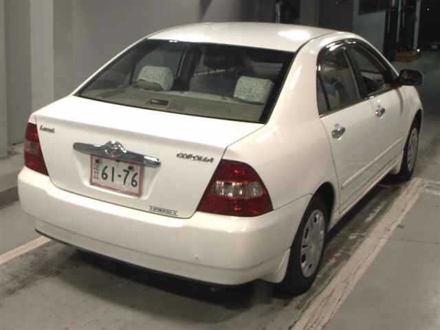 Toyota COROLLA 2001 8031291-5